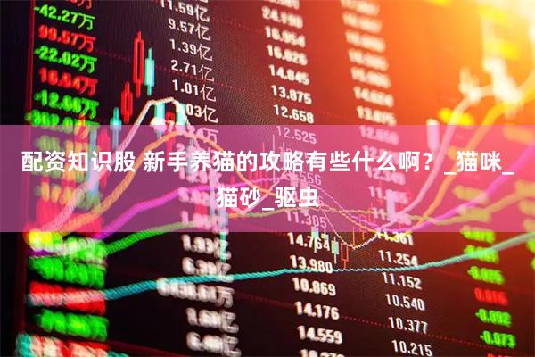 配资知识股 新手养猫的攻略有些什么啊？_猫咪_猫砂_驱虫